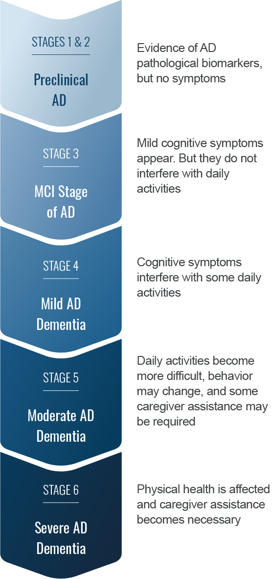 Stages of Alzheimer's Disease