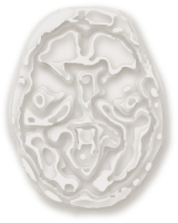 Brain with a cross-sectional view from the bottom-up